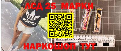 стафф Камышлов