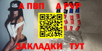 стафф Камышлов