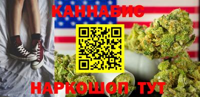 стафф Камышлов