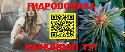 молекула духа Кандалакша