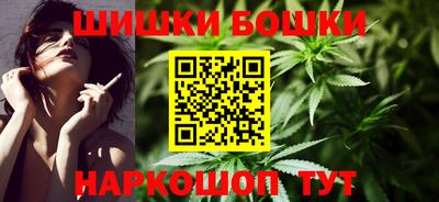 стафф Камышлов