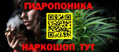 молекула духа Кандалакша