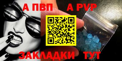 стафф Камышлов