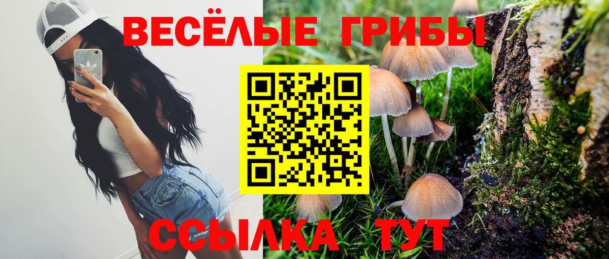 Галлюциногенные грибы Psilocybe  Вход с VPN  цена наркотик  Лянтор 